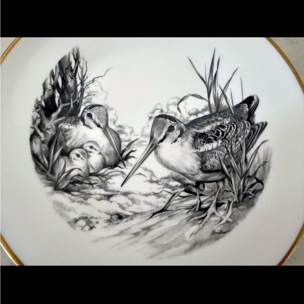 Boehm "Game Bird Series" Bobwhite Quail Collector Plate | 10¾" | Bone China |70s